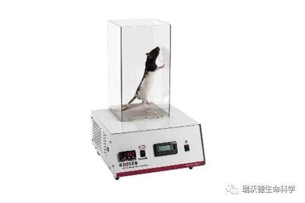 疼痛测试方法汇总 知乎 
