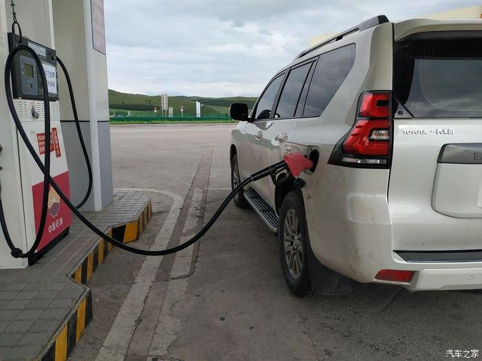 由满洲里穿行到了阿荣旗下高速后,奔着阿荣旗方向走,被一群羊挡住了去