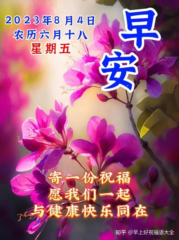 8月4日周五早上好，最新版早安祝福语 - 知乎