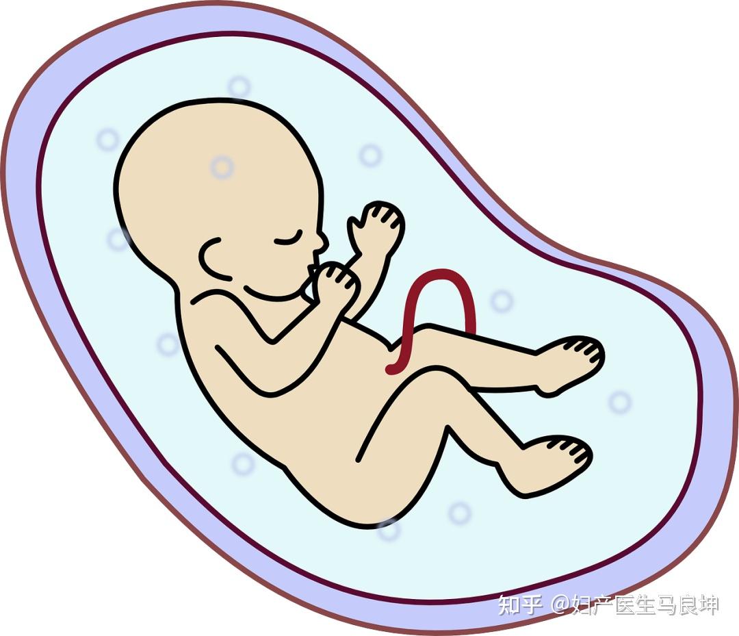 孕晚期破水后胎儿就真的危险吗？先别着急，看看这应急措施|胎儿|羊水|孕晚期_新浪新闻