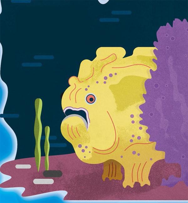 躄鱼:行走海底的伪装者