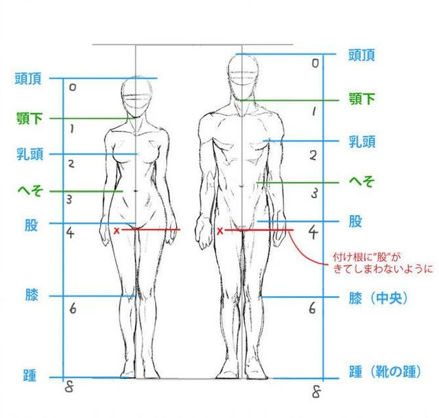 欧美人口结构_人口结构(3)