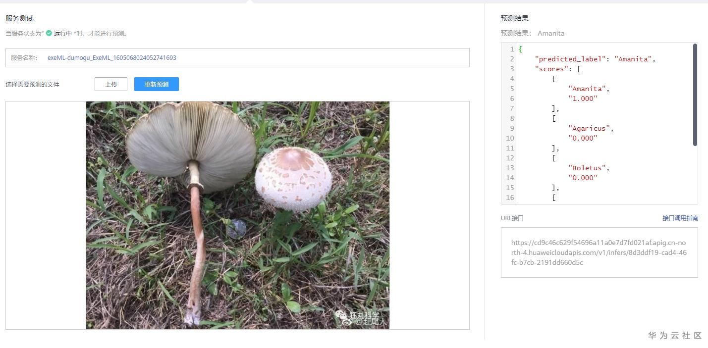 手把手教你使用ModelArts的自动学习识别毒蘑菇分类 手把手教你使用ModelArts的自动学习识别毒蘑菇分类