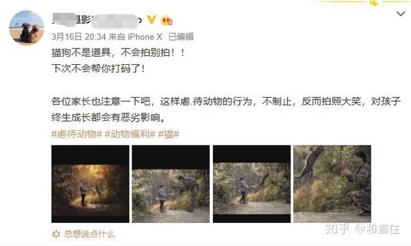 请住手 猫猫不是你作秀的道具 知乎