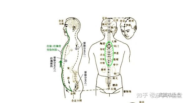 大小周天运行图及解释打通大周天最简单的方法 - 知乎