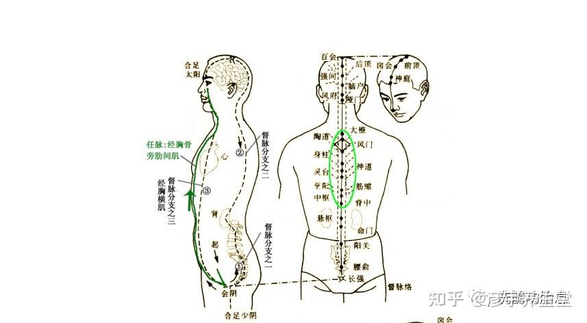 大小周天运行图及解释打通大周天最简单的方法 - 知乎
