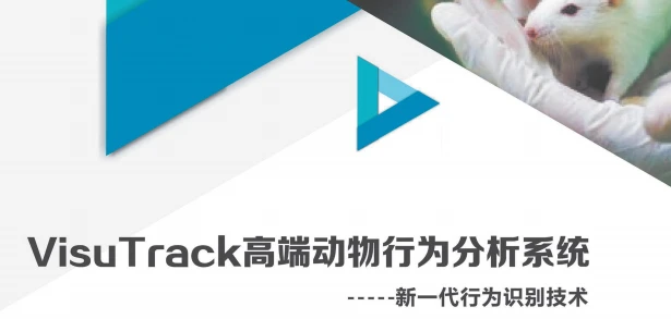 新物体识别测试中有哪些指标需要关注?