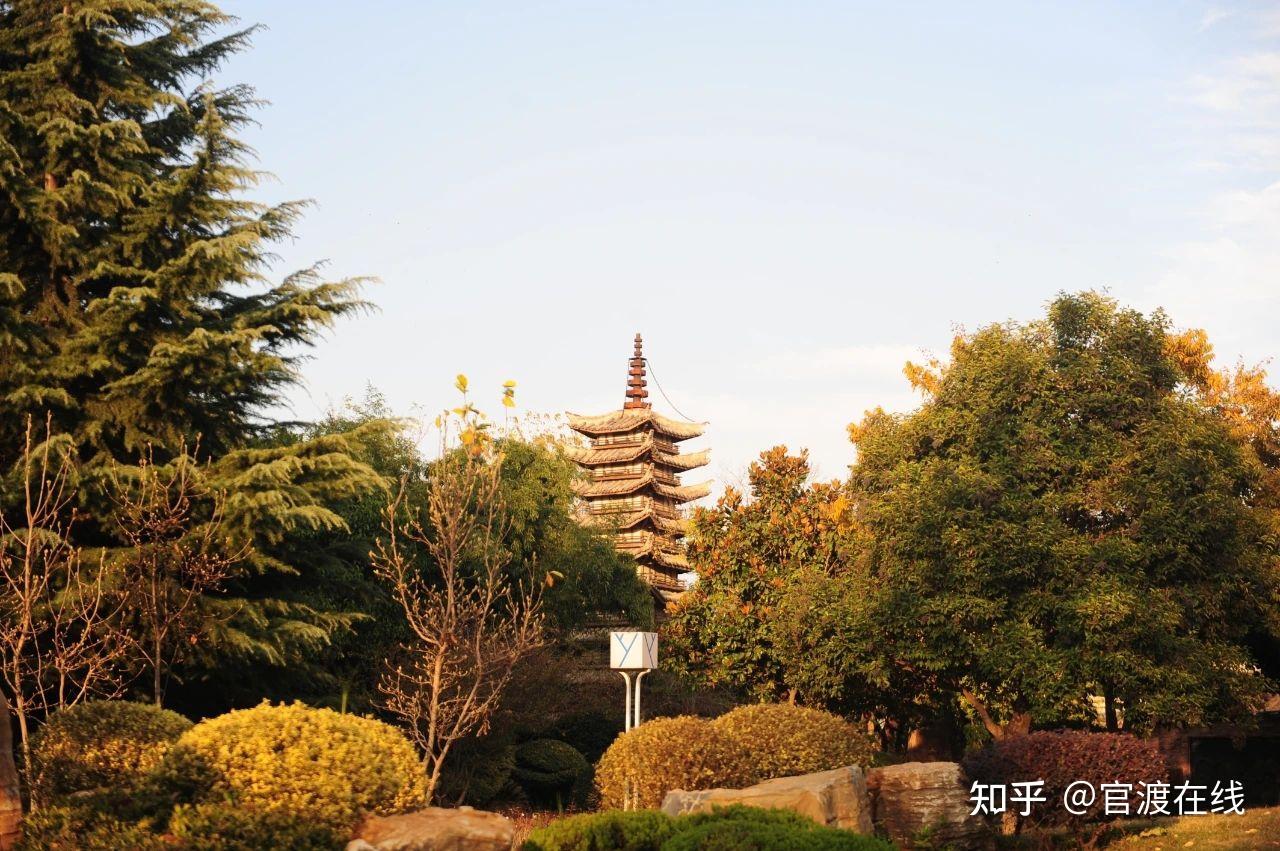 中牟县黄了~彻底黄了… - 知乎