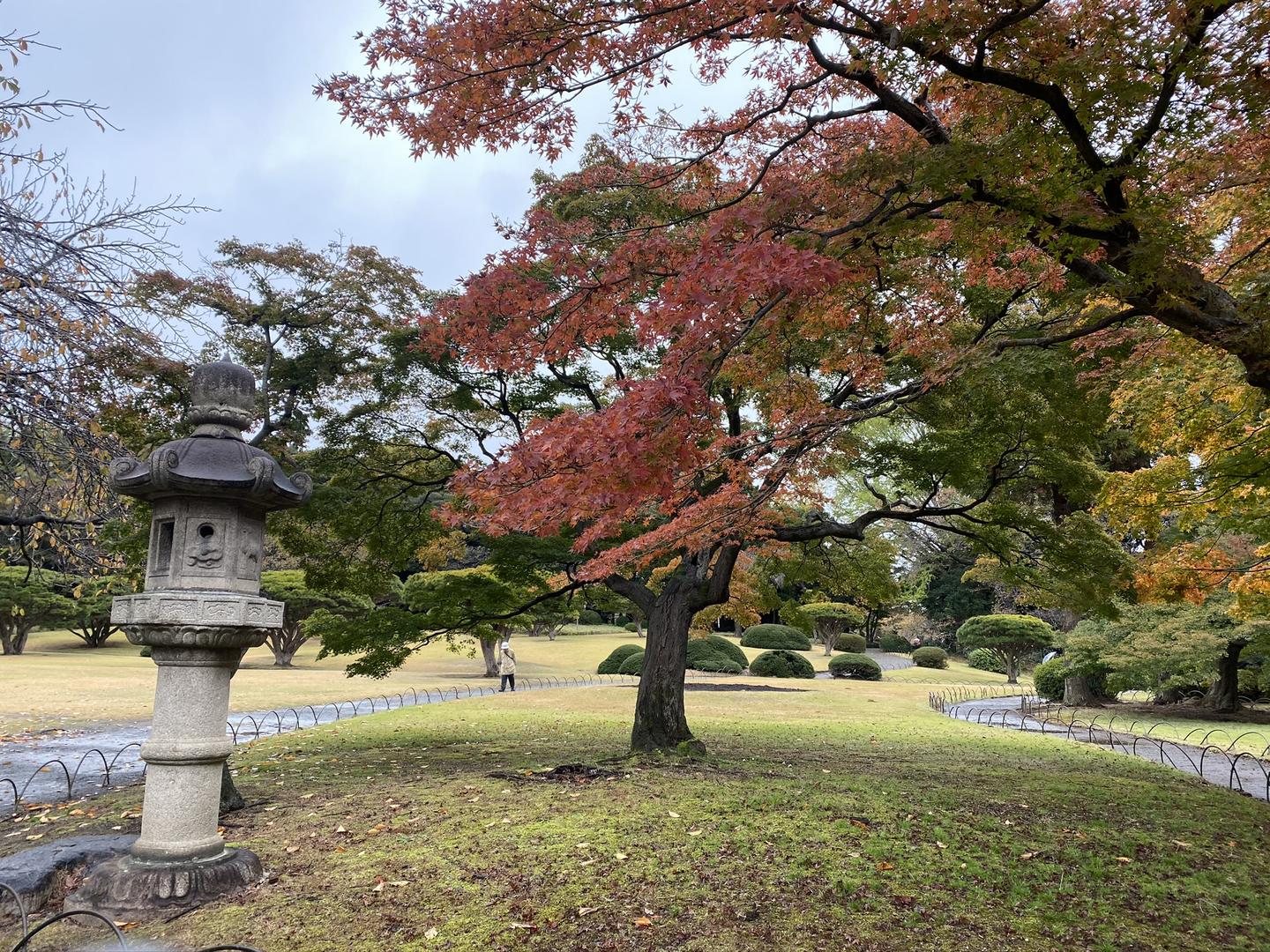 神奈川人口数_神奈川冲浪里