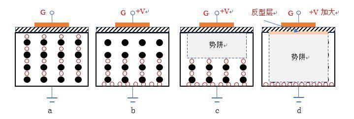 ccd大小示意图图片