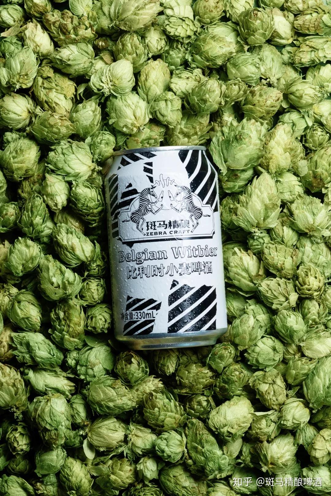 西班牙的橙皮,山东芫荽籽,内蒙古纯天然方式种植的燕麦……造就了啤酒