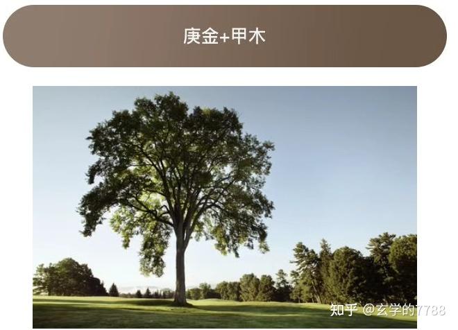 庚金&十天干配对解析大全 - 知乎