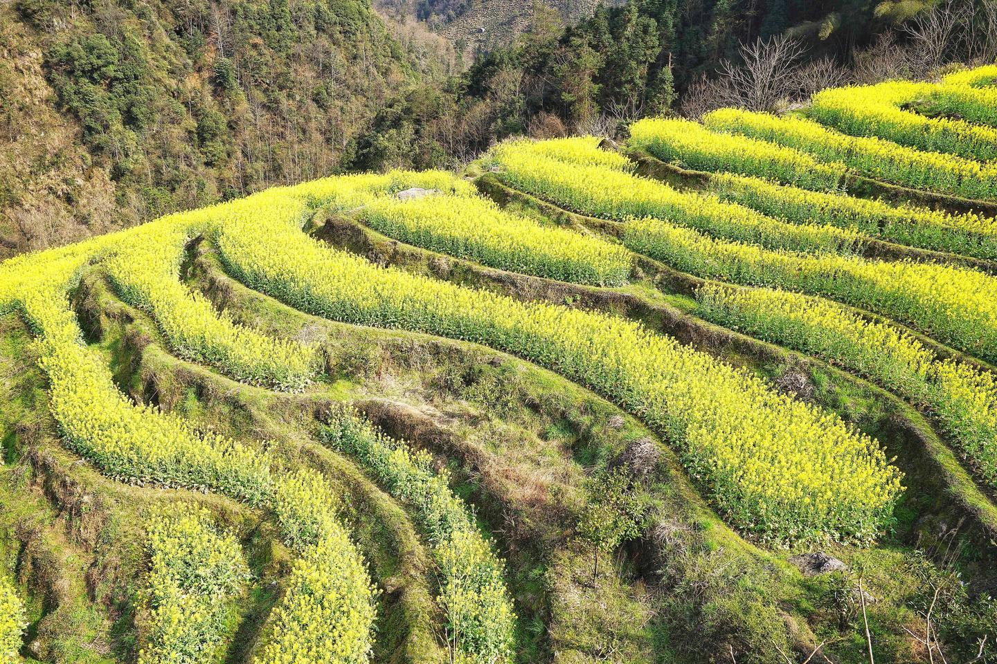 世界勤俭日丨让勤俭变成一种习惯