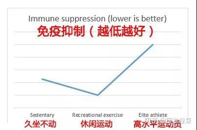 做什么运动能增强免疫 v2-773dd6e75e9435541d795544d0b703cd_b.jpg