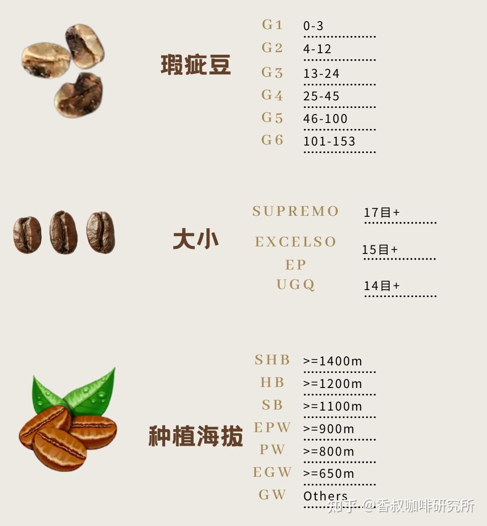 咖啡豆三大品种图片