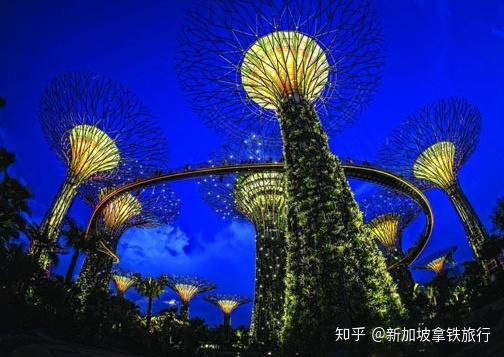 新加坡滨海湾花园 - 知乎