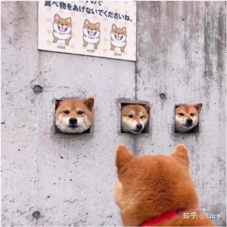 文案句子治愈温柔(文案短句干净治愈，特别温柔治愈的文案短句)