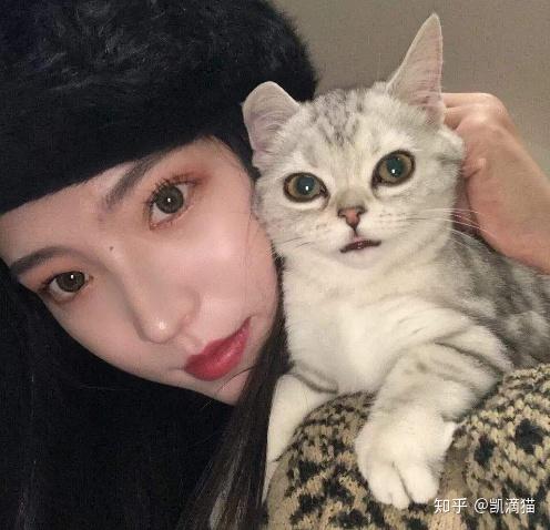 猫咪怎么才能让人抱抱 v2-7758f62619a7d1d55b4e8ffafeaff351_r.jpg