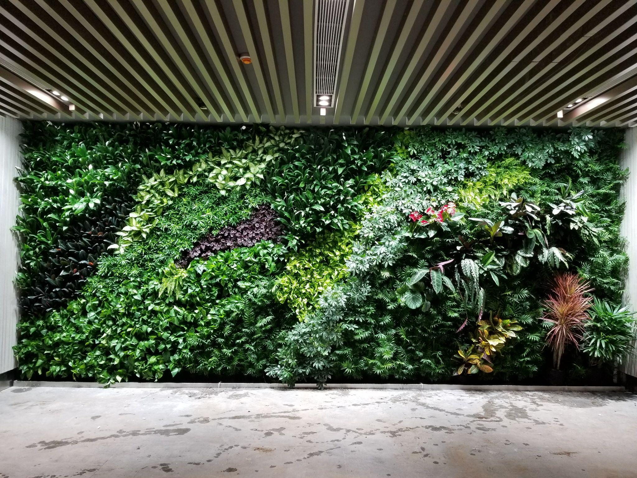 北京植物墙喜森生态墙上花园2017年作品集