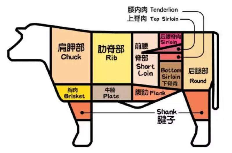 超实用牛肉装腔指南 - 知乎