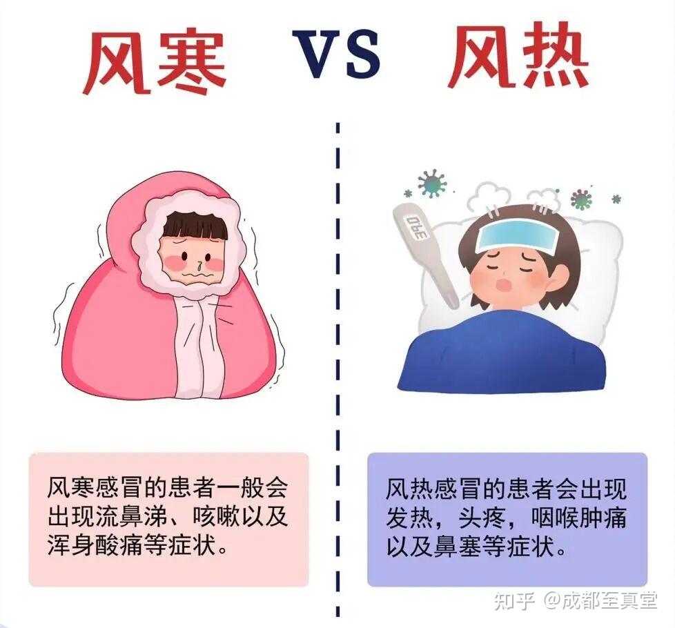 感冒第一件事,分清风寒与风热!对症处理,感冒才能好得快 - 知乎