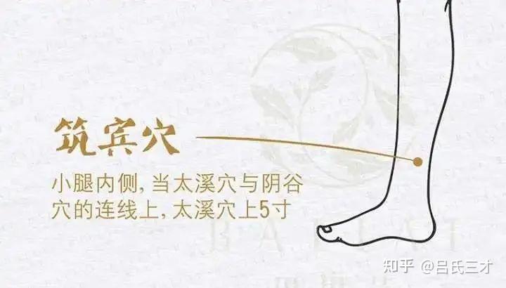 一针透两穴，周左宇、孙培荣、倪海厦﻿﻿古法针灸透穴31条 - 知乎