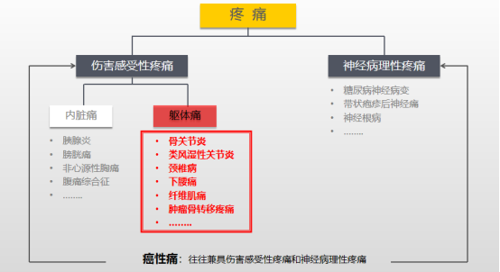 疼痛究竟能否根治?有什么好办法吗?用过奇正消痛贴膏的友友来