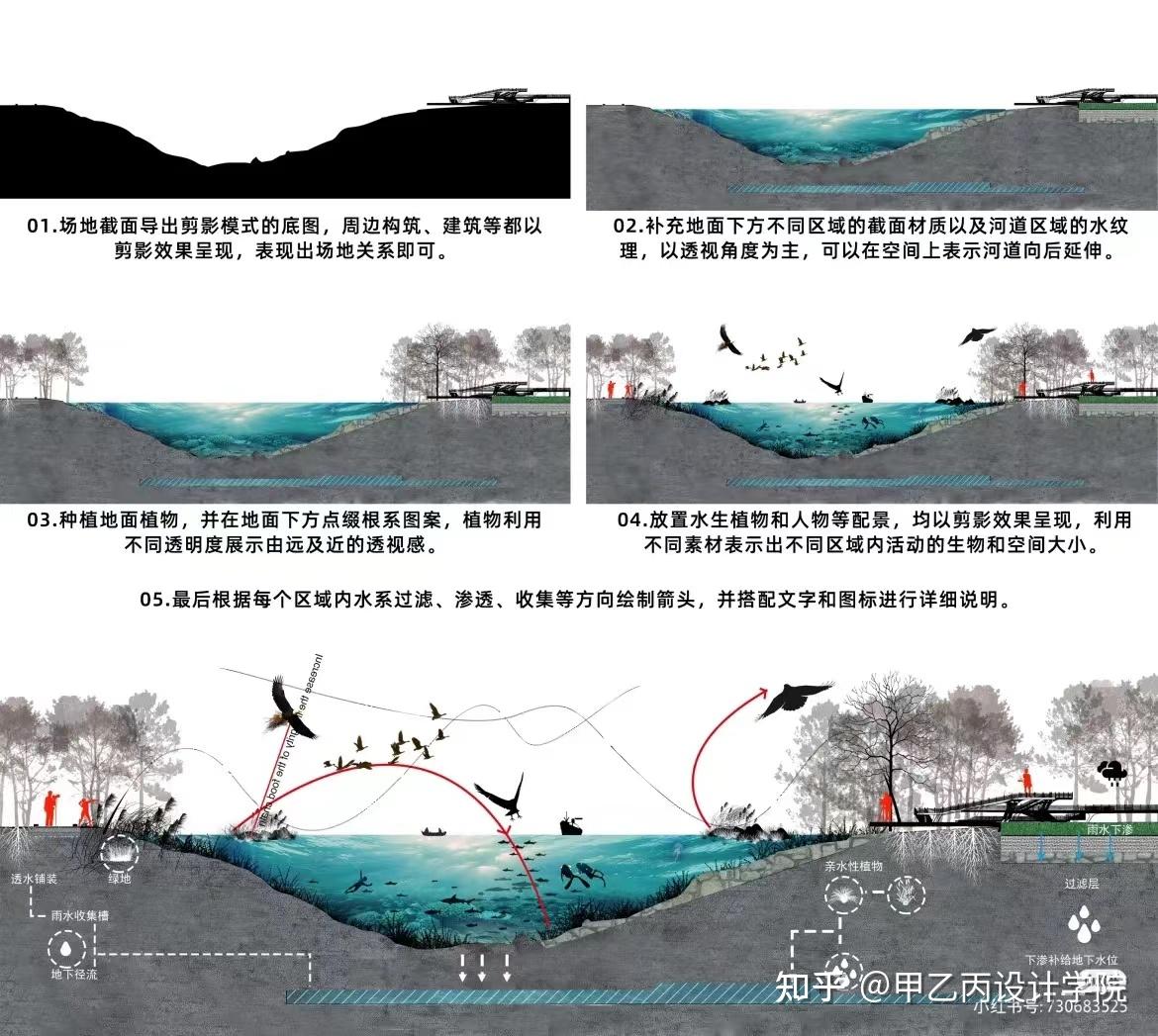 滨水公园景观剖面分析图-步骤解析！ - 知乎