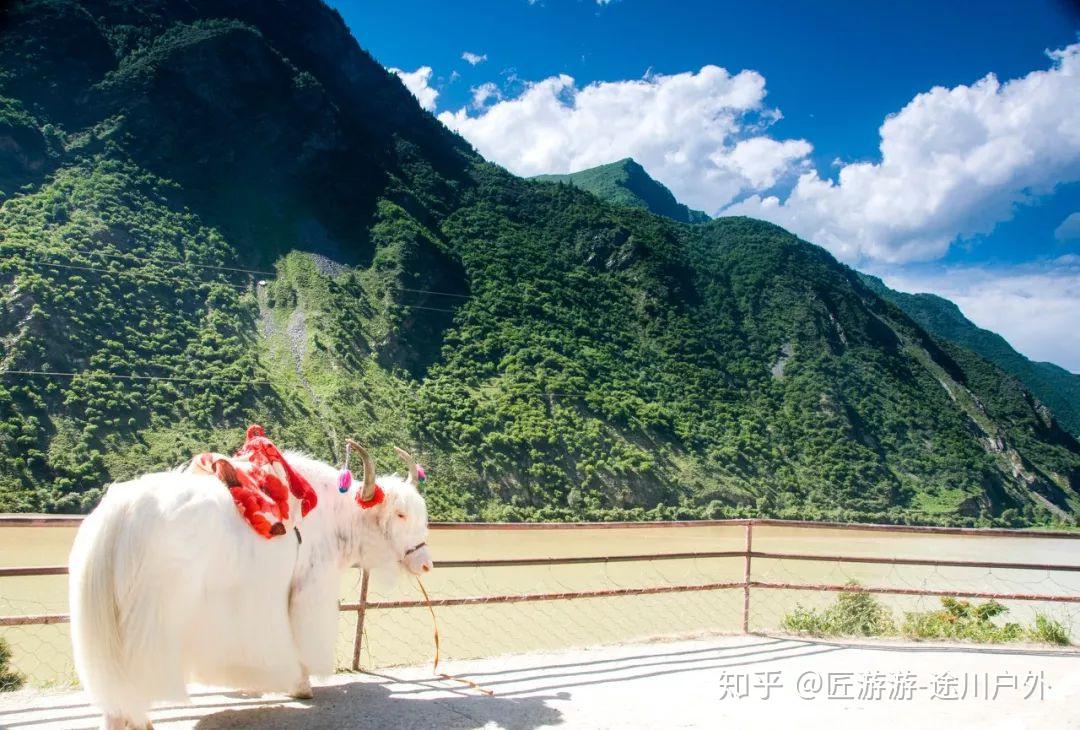 全球最美高铁线!一路连接青甘川,霸占中国95%的美景