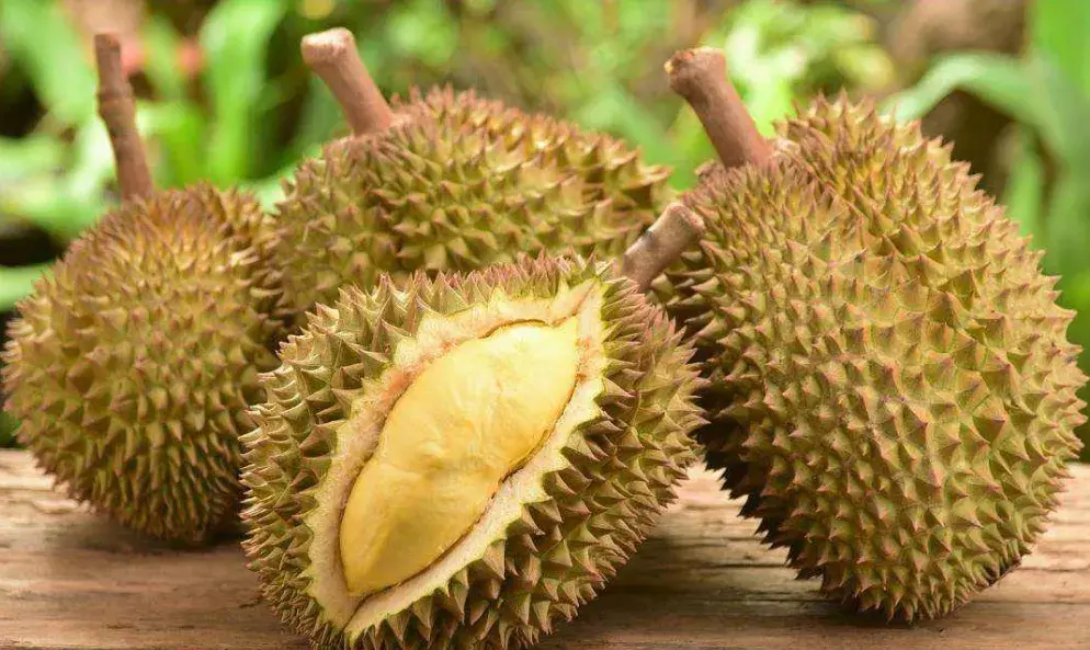 dragon是龙fruit是水果那dragonfruit是什么意思