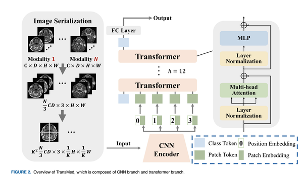 Transformer在实例分割中的应用 - 知乎