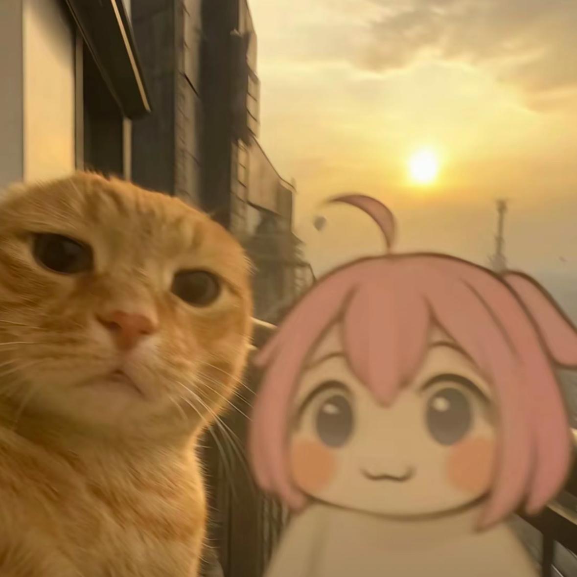 春风路