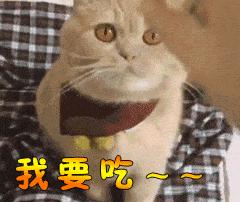 动图封面