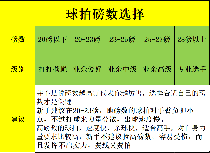 500元预算有什么适合新手使用的羽毛球拍推荐
