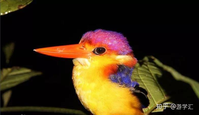 park),温泉(lost world hot springs and spa),老虎谷(tiger valley)