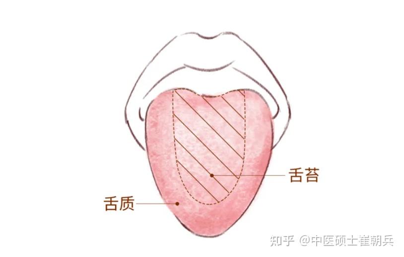 什么是舌质看舌质能看出些什么