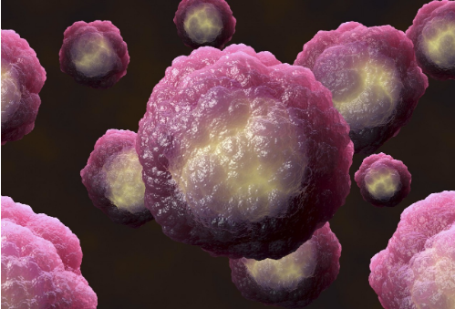 造血干细胞能亲自检测病原体_郑大中科博生 - 知乎