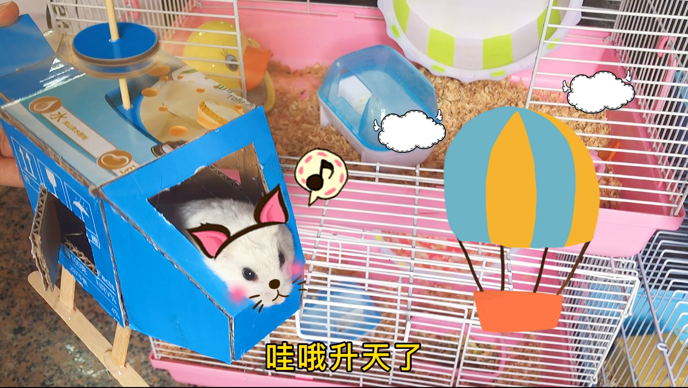 主人给仓鼠做了一台风扇仓鼠自己跑到椅子上吹着吹着就睡着了