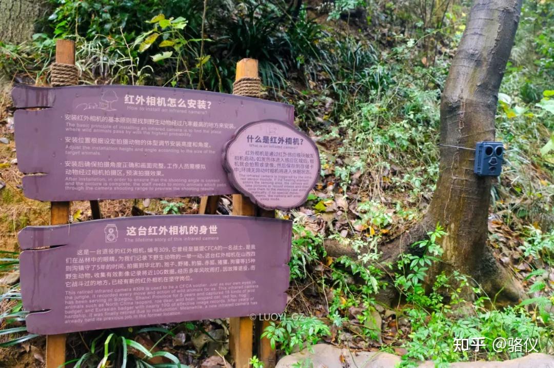 这个大陆最好的动物园等着你去狠狠报复它