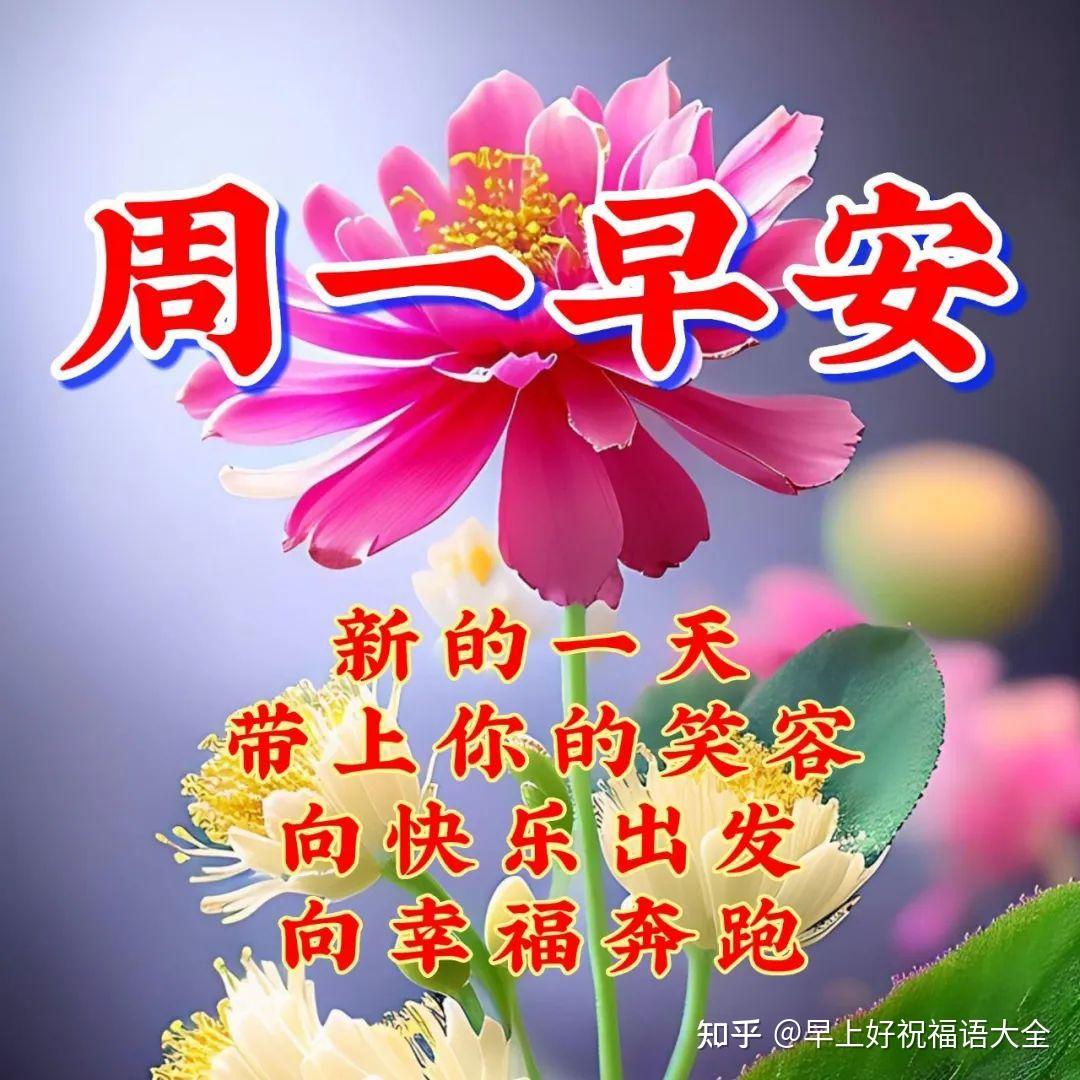 4月3日周一早上好，温馨唯美祝福语图片 知乎