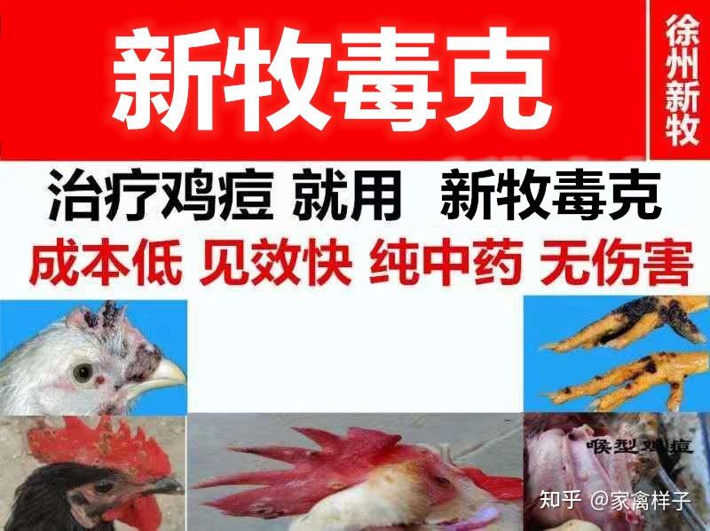 2,發病期間每天帶雞消毒 毒克3,白喉型可以小心除去假膜後噴入消炎