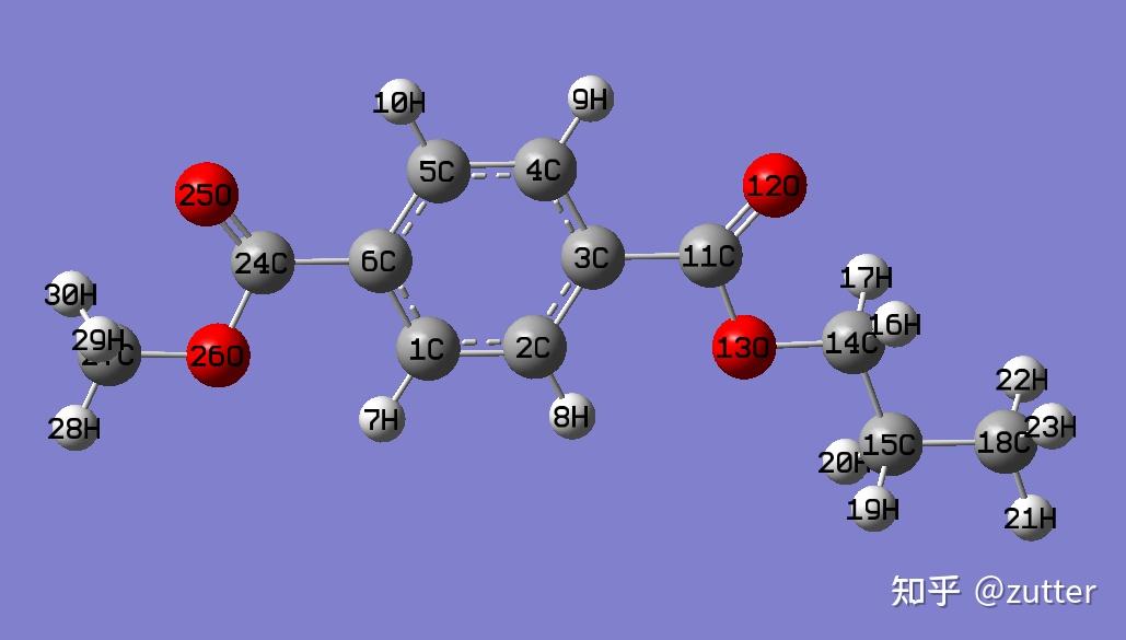 amber生成pet聚合物体系