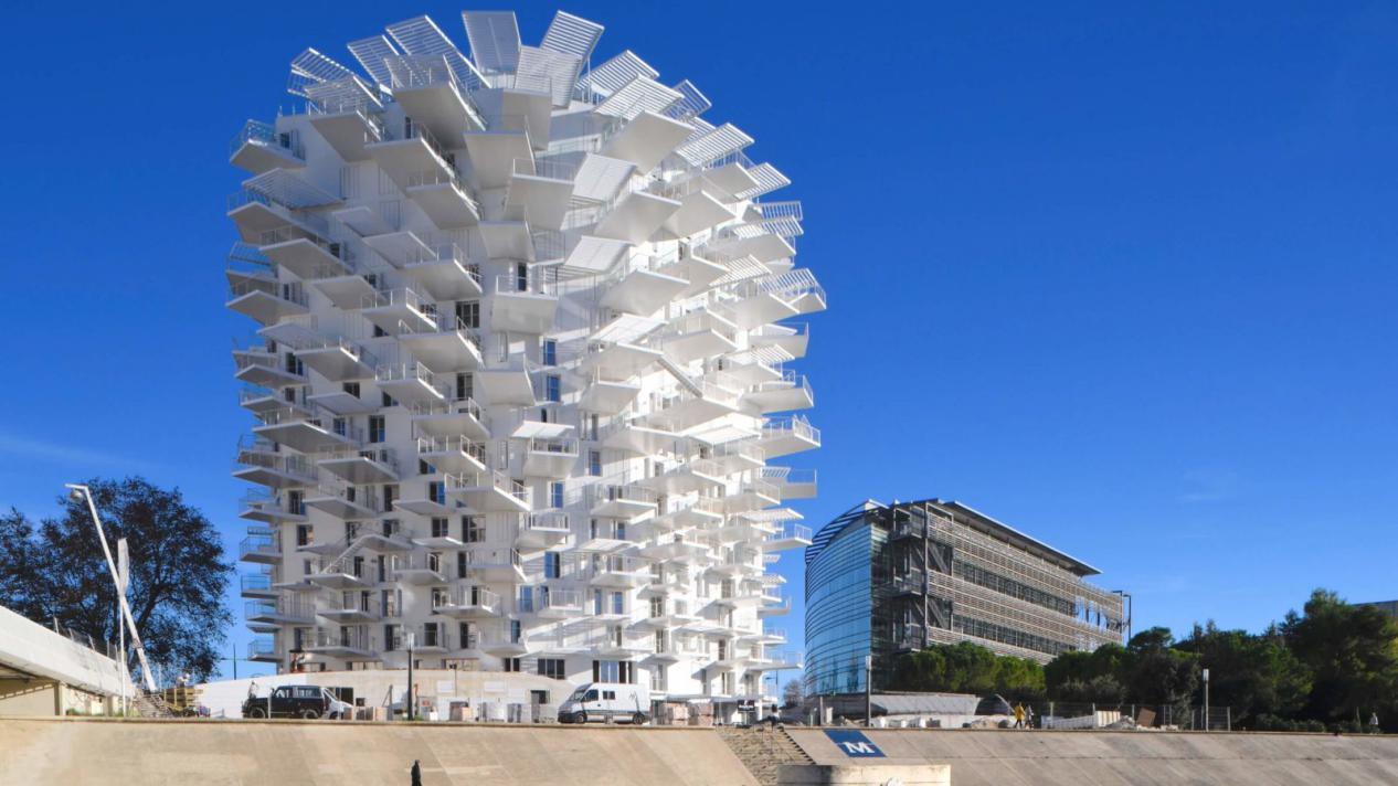 message系列 · 建筑师 | 鬼才建筑师藤本壮介的世界.