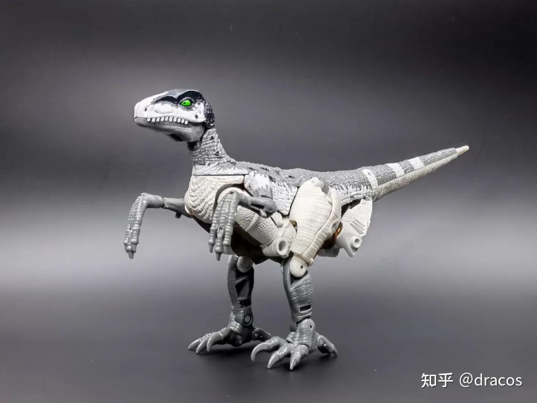 白色的迅猛龙——亚马逊限定王国钢锁开箱 - 知乎