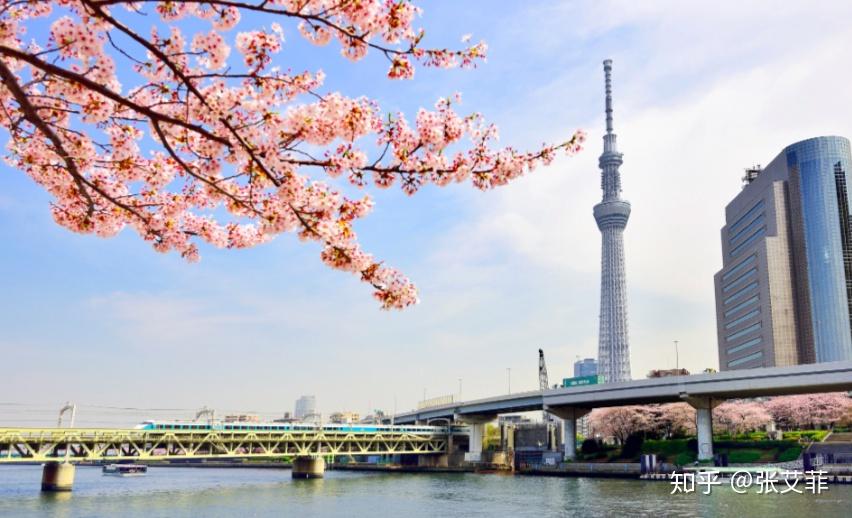 江户城市人口_江户川柯南