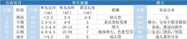儿童性发育评估 | Tanner标准,快收藏! - 知乎