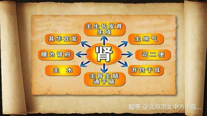 阳者生之本，阴者死之基——浅谈“阳气”对人体的重要作用！ - 知乎
