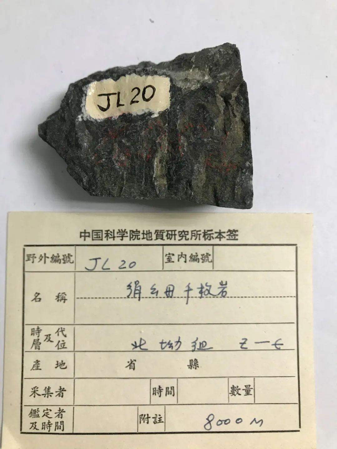 黑色的绢云母千枚岩(标本号:jl20,海拔:8000米,采集人:中国登山队王洪