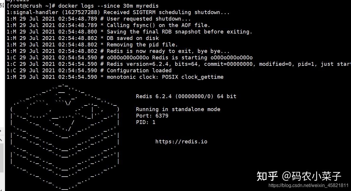  docker redis 