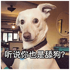 舔狗的下场最终一无所有 v2-789c9f6870befacb0d64154822a93981_b.gif